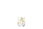 Ariana 24.5 oz. Stemless Gin & Tonic